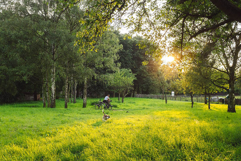 A man sitting on a bench with his dog running in the grass at the Keizersberg in Leuven at sunset.