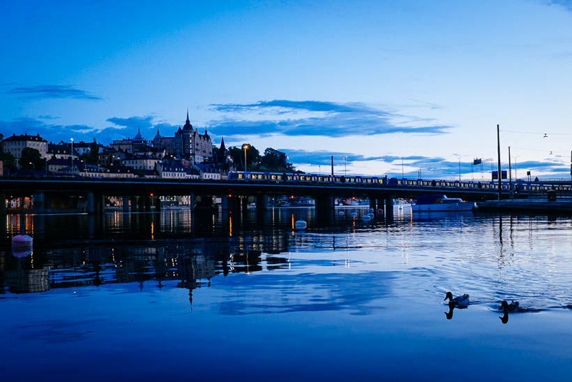 Two ducks swimming at sunset in the inner city of Stockholm, with a metro train running over a bridge in the background.