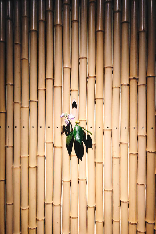 A bamboo wall with some flowers near the entrance of a ryokan complex in Kyoto, Japan.