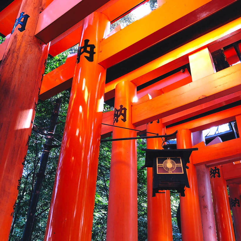 Red torii gates with a lantern at Fushimi Inari Shrine in Kyoto, Japan.