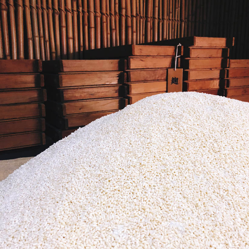 A pile of plastic rice in the Gekkeikan Okura Sake Museum in Kyoto, Japan.