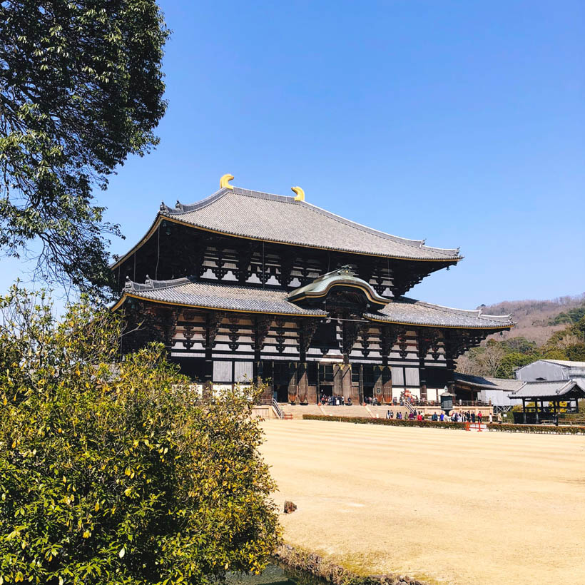 The Daibutsuden hall. Even at a distance it's already gigantic.