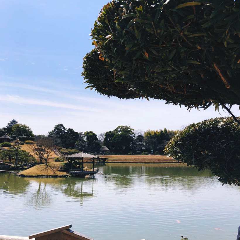 A large pond in the garden.