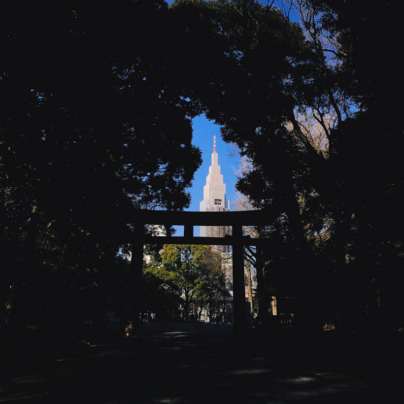 The NTT Docomo building in Shinjuku peaking between the trees of the Yoyogi Park in Tokyo, Japan.