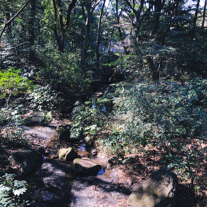 One of the many small rivers running through the park.