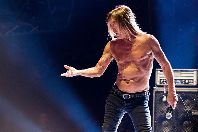 Iggy And The Stooges live at Brussels Summer Festival in Belgium on 12 August 2012