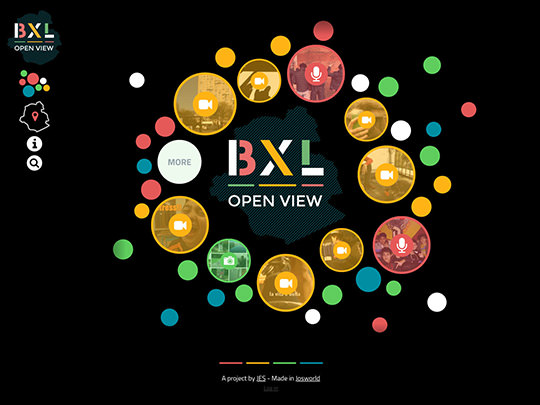 BXL Open View - Development of Website