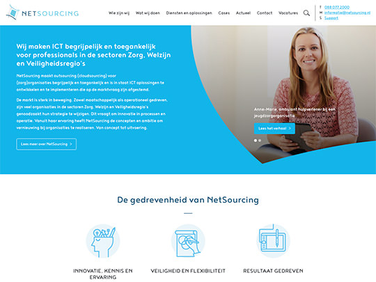 Netsourcing (development of website)